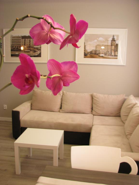 Apartament W Centrum Gdyni II 格丁尼亚 客房 照片